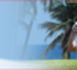 Open de Golf de Saint François Guadeloupe à 30m des villas de luxe en Guadeloupe