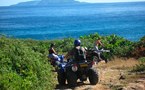 Quad et buggy Guadeloupe St François, Cheval, balade équestre,Haras de St François