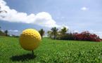 Le Golf de Saint-François Guadeloupe à l’honneur