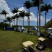 Open de golf Guadeloupe, le green 