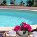 1-piscine-lagon2.jpg