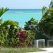 sortie-terrain-guadeloupe.