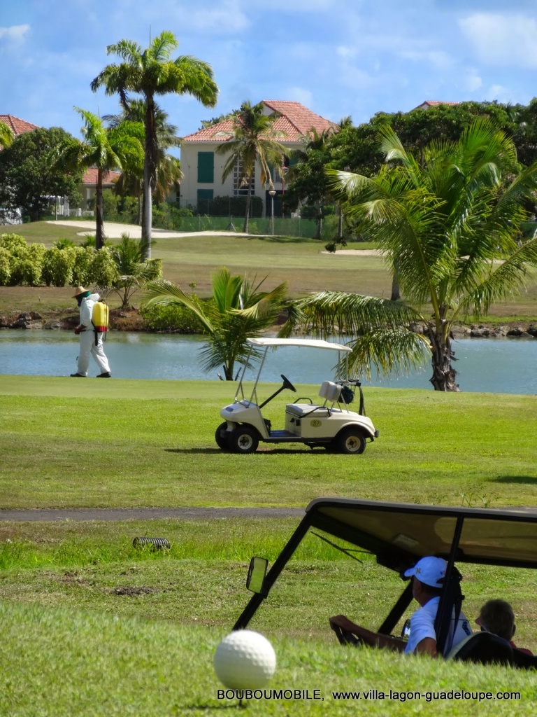 villa Boubou   Golf de 18  trous de Saint François Guadeloupe avec la golfette BoubouMobile