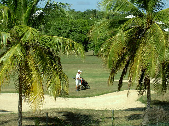 golf.jpg