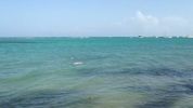 La plage du lagon de Saint François Guadeloupe devant la villa Carib