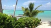Vidéo de la Villa Pura Vida le luxe en Front de mer Guadeloupe