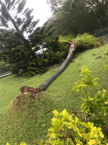 Maria est passé...sans dégât pour nous... Maria est passé...sans dégât pour nous...