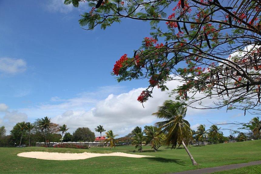 Les Villas à 30 m du Golf de Saint François et les pieds dans le lagon de Guadeloupe