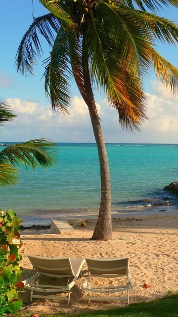  ----------------  Nouvelle Année en Guadeloupe, Nouvelle Villa  ------------------