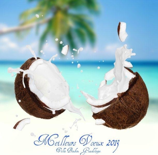 Meilleurs Voeux 2013