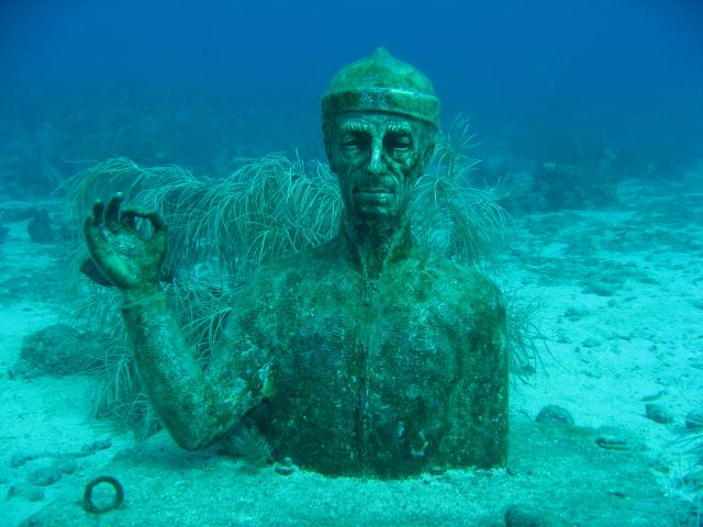 La réserve Cousteau