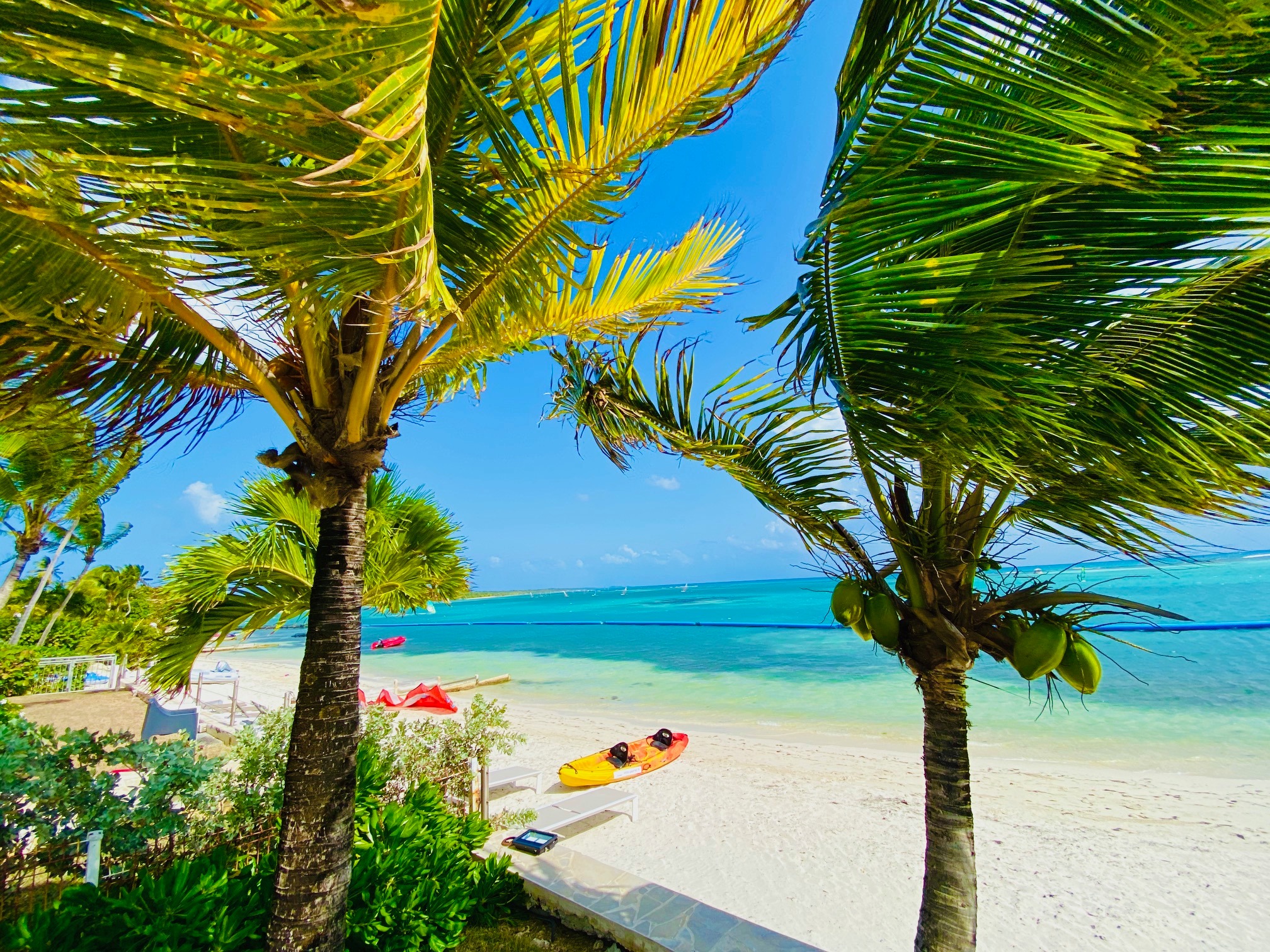 Des nouvelles de la Guadeloupe