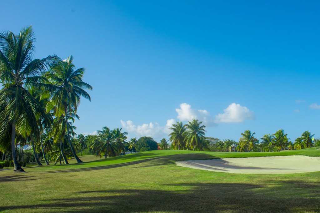 Le golf de Saint François en Guadeloupe
