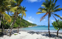 Quand aller en Guadeloupe ?