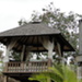 DSC00547.JPG