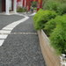 DSC00550.JPG