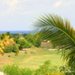 guadeloupe août 2009 206.jpg