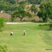guadeloupe août 2009 209.jpg