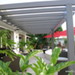 guadeloupe novembre 2008 111.jpg