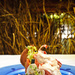 restaurant Iguane Café Saint François Guadeloupe