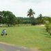 open golf st francois guadeloupe