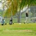 open golf guadeloupe saint françois