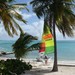 hobie cat villa pura vida Guadeloupe