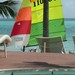 Hobbie Cat en location devant la villa de prestige en Guadeloupe