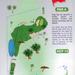 N°4 du Golf de Saint François Guadeloupe