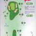 N°8 du Golf de Saint François Guadeloupe
