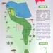 N°18 du Golf de Saint François Guadeloupe