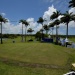 Le green vue due l'Open de golf Guadeloupe