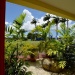 Club House Open de golf Guadeloupe