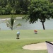 Open de golf Guadeloupe
