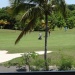 Open de Golf vue de la Villa Boubou en Guadeloupe