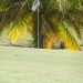 trou 18 Golf Guadeloupe