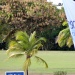 Open de golf Guadeloupe 2014 partenariat Villas Boubou