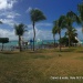 Canot traditionnel Guadeloupe depuis Savannah