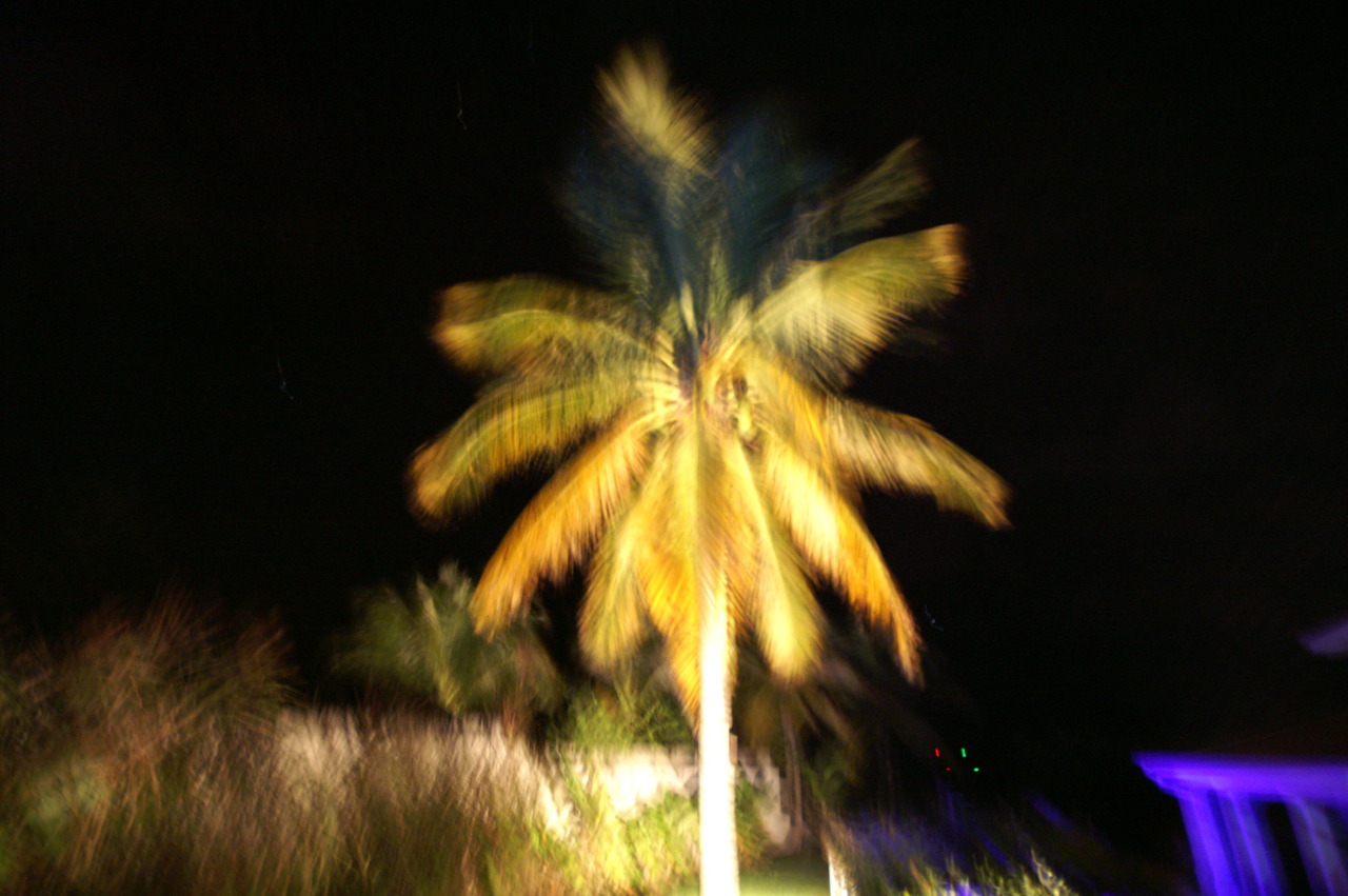 PICT1746.JPG