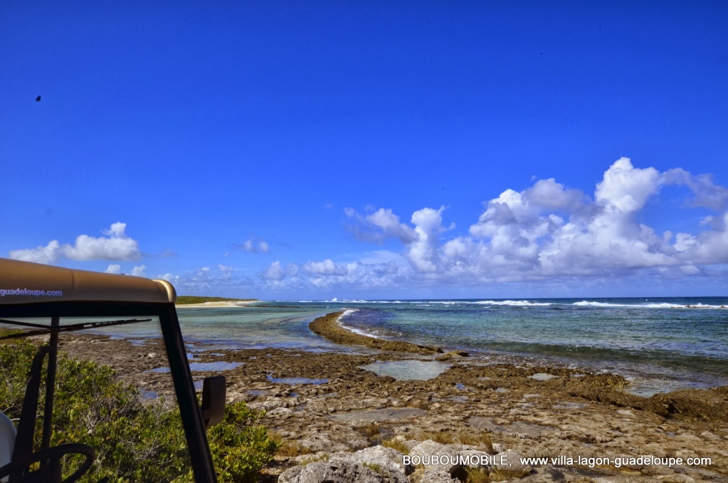 La pointe des Chateaux et les Salines de Saint François Guadeloupe