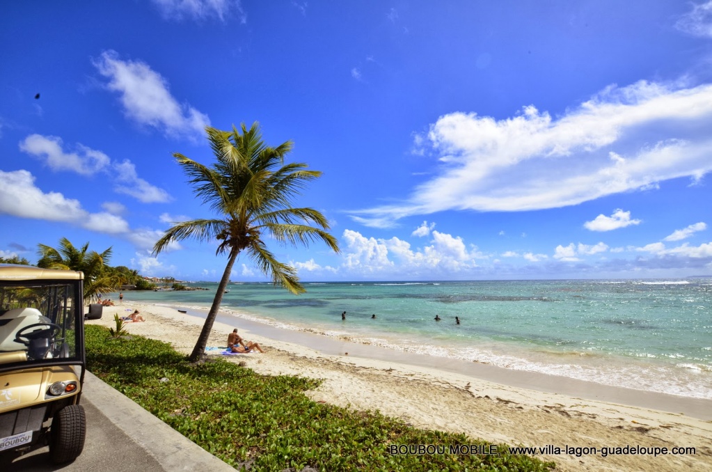 Plage des Raisins Clairs Guadeloupe avec la voiture électrique