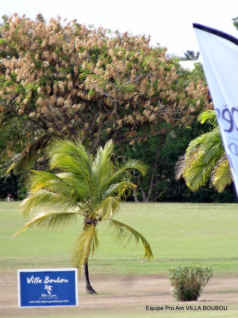 Open de golf Guadeloupe 2014 partenariat Villas Boubou