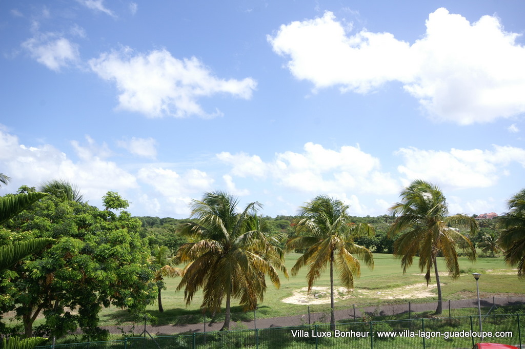 PICT0813.JPG
